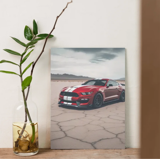 Canvas - 16x24 - No frame 4